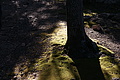 DSC04360 - Bernhard Saalfeld
