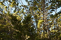 DSC04371 - Bernhard Saalfeld