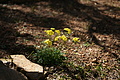DSC04408 - Bernhard Saalfeld