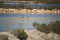 DSC04457 - Bernhard Saalfeld