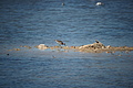 DSC04468 - Bernhard Saalfeld