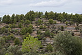 DSC03494 - Bernhard Saalfeld