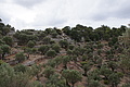DSC03504 - Bernhard Saalfeld