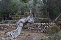 DSC03508 - Bernhard Saalfeld