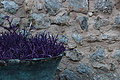 DSC03522 - Bernhard Saalfeld