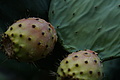 DSC03527 - Bernhard Saalfeld