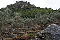 DSC03545 - Bernhard Saalfeld