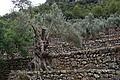 DSC03546 - Bernhard Saalfeld