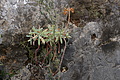 DSC03553 - Bernhard Saalfeld