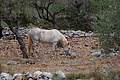 DSC03555 - Bernhard Saalfeld