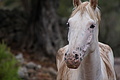 DSC03556 - Bernhard Saalfeld