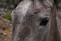 DSC03558 - Bernhard Saalfeld