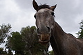 DSC03561 - Bernhard Saalfeld