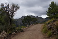 DSC03570 - Bernhard Saalfeld