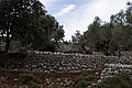 DSC03571 - Bernhard Saalfeld