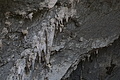 DSC03592 - Bernhard Saalfeld