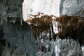 DSC03658 - Bernhard Saalfeld