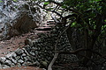 DSC03660 - Bernhard Saalfeld