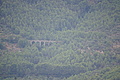 DSC03681 - Bernhard Saalfeld