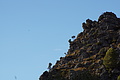 DSC03729 - Bernhard Saalfeld