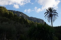 DSC03730 - Bernhard Saalfeld