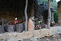 DSC03734 - Bernhard Saalfeld