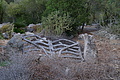 DSC03737 - Bernhard Saalfeld