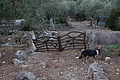DSC03739 - Bernhard Saalfeld