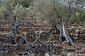 DSC03751 - Bernhard Saalfeld