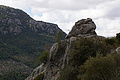 DSC03758 - Bernhard Saalfeld