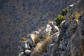 DSC03794 - Bernhard Saalfeld