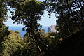 DSC03807 - Bernhard Saalfeld