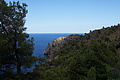 DSC03853 - Bernhard Saalfeld
