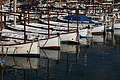 DSC03932 - Bernhard Saalfeld
