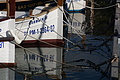 DSC03934 - Bernhard Saalfeld