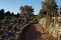 DSC03945 - Bernhard Saalfeld