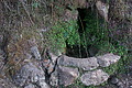 DSC03959 - Bernhard Saalfeld