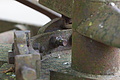 DSC03992 - Bernhard Saalfeld