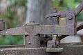 DSC03994 - Bernhard Saalfeld