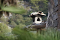 DSC03996 - Bernhard Saalfeld
