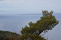 DSC04057 - Bernhard Saalfeld