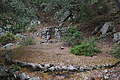 DSC04060 - Bernhard Saalfeld