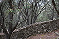 DSC04078 - Bernhard Saalfeld