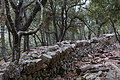 DSC04082 - Bernhard Saalfeld