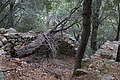 DSC04084 - Bernhard Saalfeld