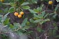 DSC04091 - Bernhard Saalfeld