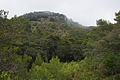 DSC04096 - Bernhard Saalfeld