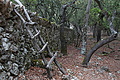 DSC04123 - Bernhard Saalfeld
