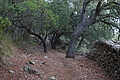 DSC04128 - Bernhard Saalfeld