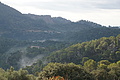 DSC04161 - Bernhard Saalfeld